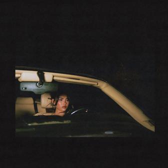 Showed Me (How I Fell In Love With You) - Single
