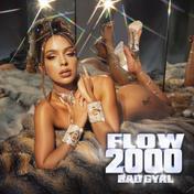 Flow 2000 - Single