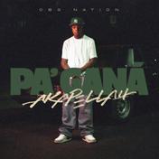 Pa' ganá - Single