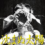 沈まぬ太陽