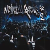 Nobody Knows Me 2