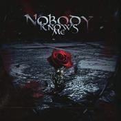 Nobody Knows Me