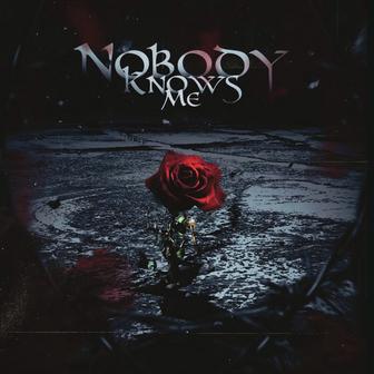 Nobody Knows Me