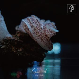 Seabed