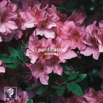 Purification