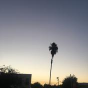 BrawnzSun