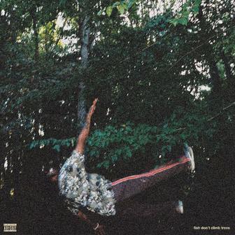fish don't climb trees