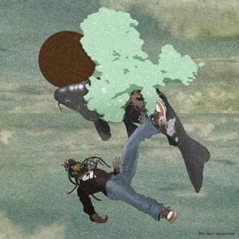 fish don't climb trees