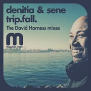 trip.fall. - David Harness Instrumental Mix