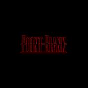 Point Blank (feat. Natty)