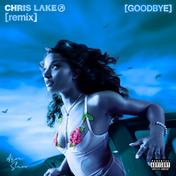 Goodbye (Warm Up) [Chris Lake Remix]