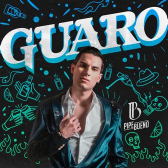Guaro - Single
