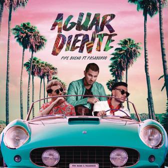 Aguardiente (feat. Pasabordo) - Single