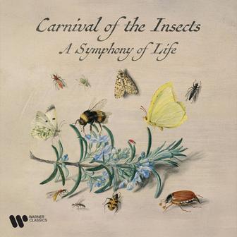 Zzzz. Carnival of the Insects - A Symphony for Life