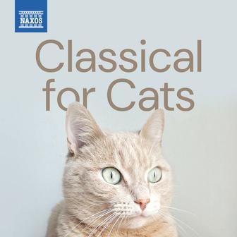 Classical for Cats
