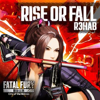 Rise Or Fall - Single