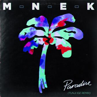 Paradise (Tunji Ige Remix) - Single