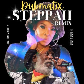 Steppah Dubmatix (Remix)