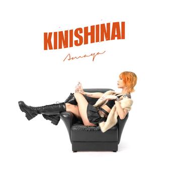 キニシナイ