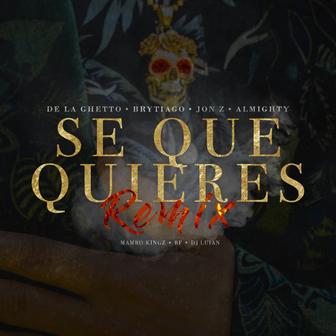 Sé Que Quieres (feat. Brytiago, Jon Z & Almighty) [Remix] - Single