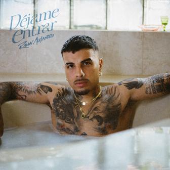 Déjame Entrar - Single