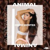 Animal - Single