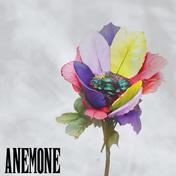 ANEMONE