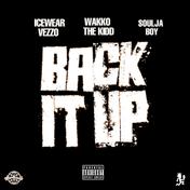 Back It Up