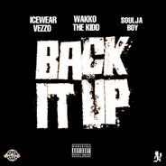 Back It Up