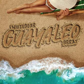 Guayaleo (feat. Brray) - Single