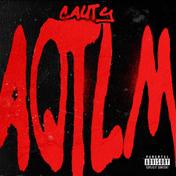 AQTLM - Single