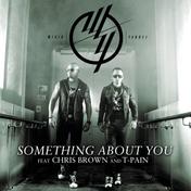 Something About You (feat. Chris Brown & T-Pain) - Single