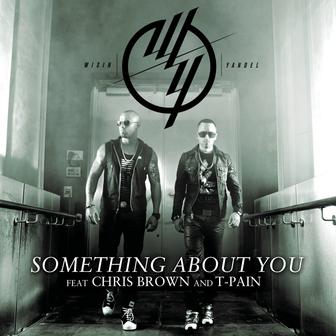 Something About You (feat. Chris Brown & T-Pain) - Single
