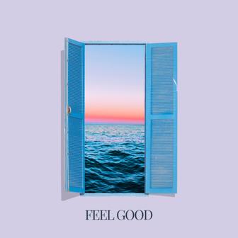 Feel Good (VIP Mix) - Single