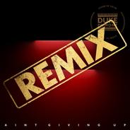 Ain't Giving Up - Paul Woolford’s Special Request Extended Mix