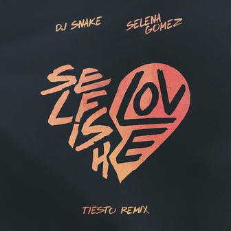 Selfish Love (with Selena Gomez) (Tiësto Remix)