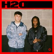 H2O - Instrumental