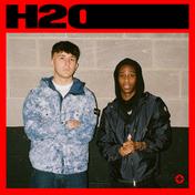 H2O