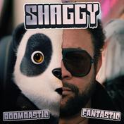 Boombastic (Fantastic) - Single