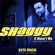It Wasn't Me (feat. Ricardo Ducent) [Sped Up]