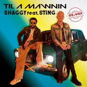 Til A Mawnin (feat. Sting) [Remix] - Single