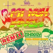 Mi Nuh Know (Remix) [feat. Chris Marshall] [Live]