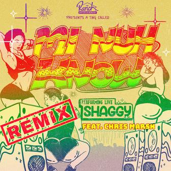 Mi Nuh Know (Remix) [feat. Chris Marshall] [Live] - Single