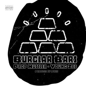 Burglar Bars