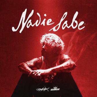 Nadie Sabe - Single