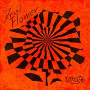 Dried Flower