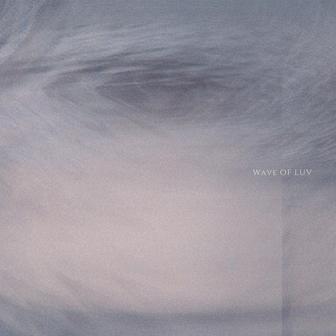 WAVE OF LUV