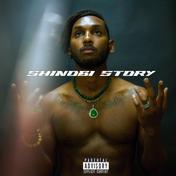 Shinobi Story
