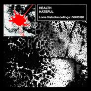 HATEFUL [Feat. SIERRA VEINS]