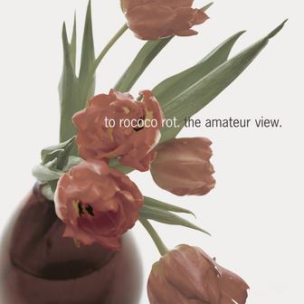 The Amateur View (Expanded Edition 2025)